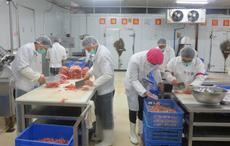 舜泰專(zhuān)業(yè)團(tuán)隊(duì)